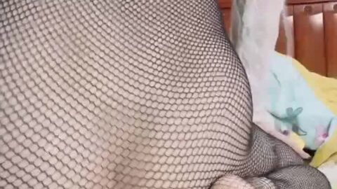Tất lưới cưỡi toy